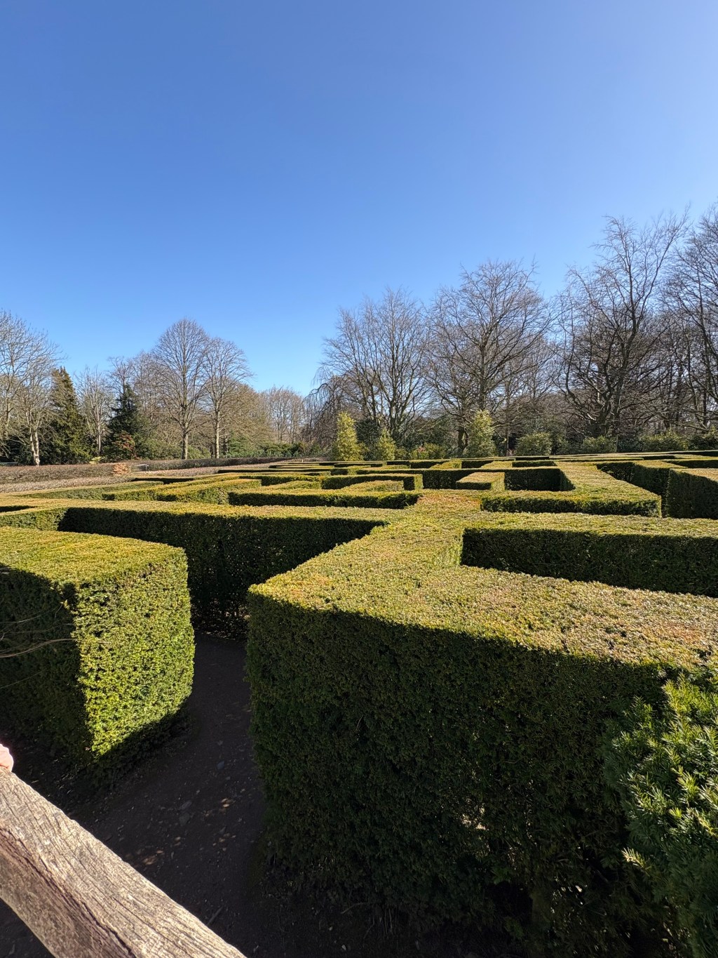 Our Visit to Wentworth Garden&nbsp;Centre